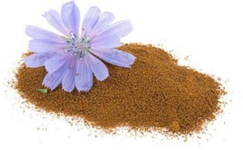 Chicory Inulin