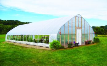 Commercial Greenhouse Market