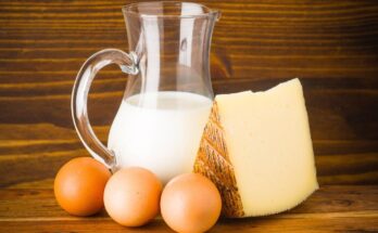 Egg and Egg Products Market