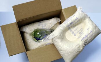 Global Foam Protective Packaging Market