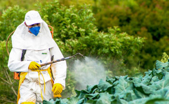 France Pesticide Residue Testing Market- Analysis, Share, Trends, Demand, Size, Opportunity & Forecast