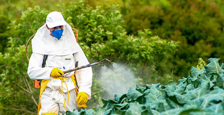 France Pesticide Residue Testing Market- Analysis, Share, Trends, Demand, Size, Opportunity & Forecast