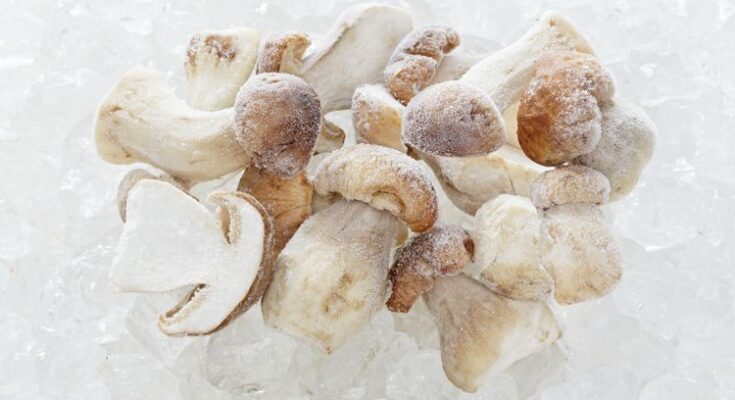 Frozen Mushrooms Market