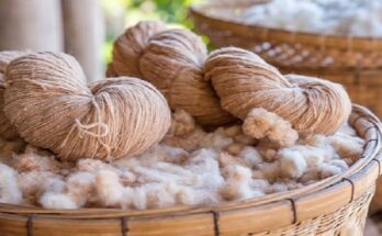 Global Eco Fiber Market