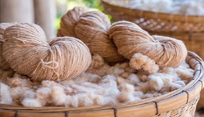 Global Eco Fiber Market