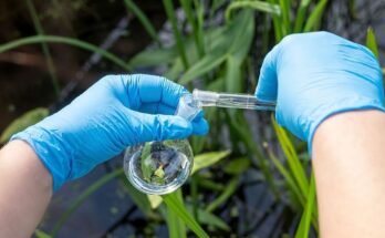 Global Environmental Testing Market Analysis, Share, Trends, Demand, Size, Opportunity & Forecast