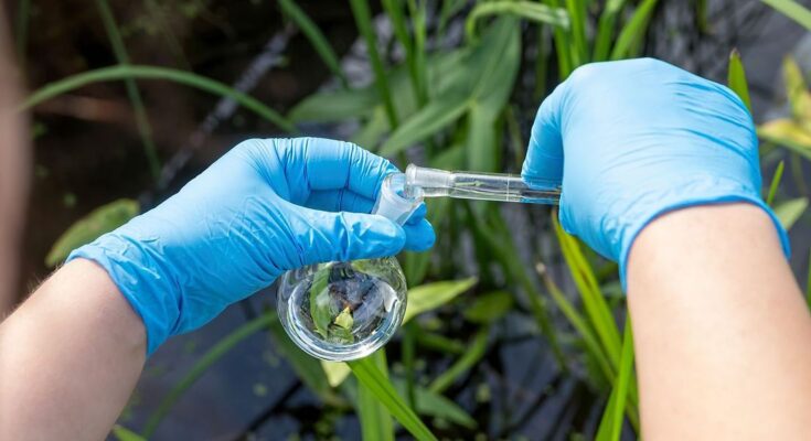 Global Environmental Testing Market Analysis, Share, Trends, Demand, Size, Opportunity & Forecast