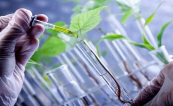 Global Green and Bio-Solvents Market