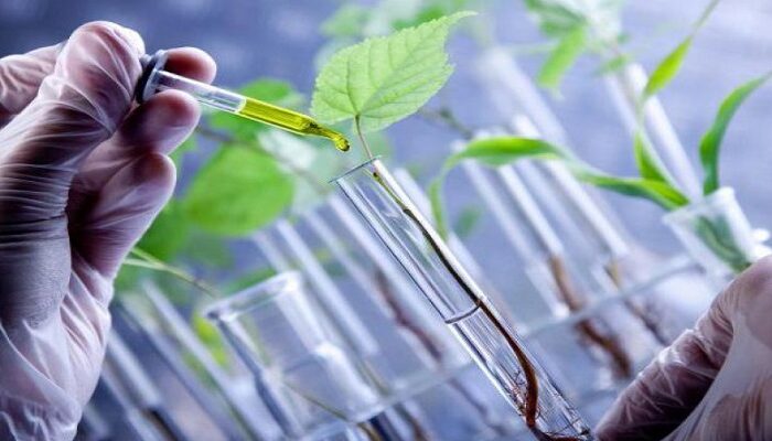 Global Green and Bio-Solvents Market