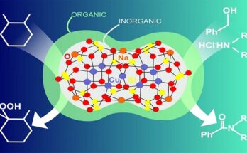 Global Inorganic Catalyst Market