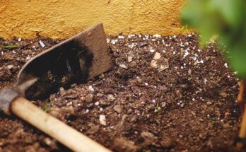 Global Soil Conditioners Market Analysis, Share, Trends, Demand, Size, Opportunity & Forecast