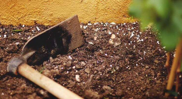 Global Soil Conditioners Market Analysis, Share, Trends, Demand, Size, Opportunity & Forecast