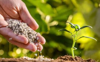 Global Specialty Fertilizers Market Analysis, Share, Trends, Demand, Size, Opportunity & Forecast