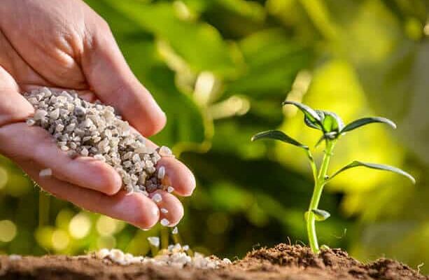 Global Specialty Fertilizers Market Analysis, Share, Trends, Demand, Size, Opportunity & Forecast