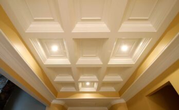 Gypsum Ceiling Tiles Market