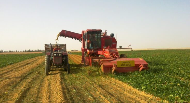 Harvesting Equipment Market Analysis, Share, Trends, Demand, Size, Opportunity & Forecast