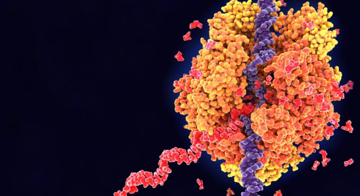 isothermal nucleic acid amplification technology (INAAT) market