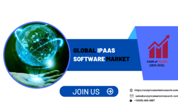 IPaaS Software Market