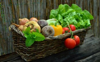 IQF Vegetable Market