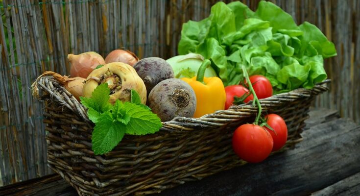 IQF Vegetable Market