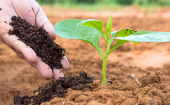 India Organic Fertilizer Market 2017-2027: Emerging Opportunities | TechSci Research