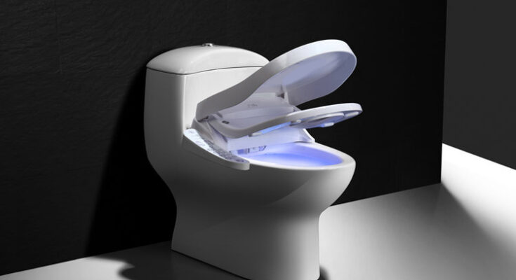 Integrated Intelligent Toilet Market