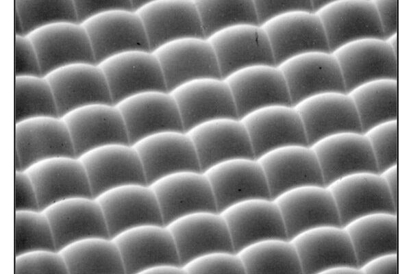 Micro Lens Arrays Market