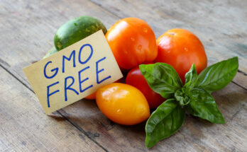 Non-GMO Food Market