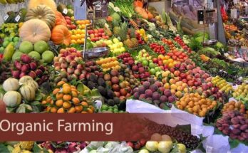 Organic Farming Market Forecast 2017-2027: Projected Growth and Opportunities | TechSci Research