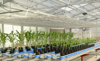 Plant Phenotyping Market Analysis, Share, Trends, Demand, Size, Opportunity & Forecast