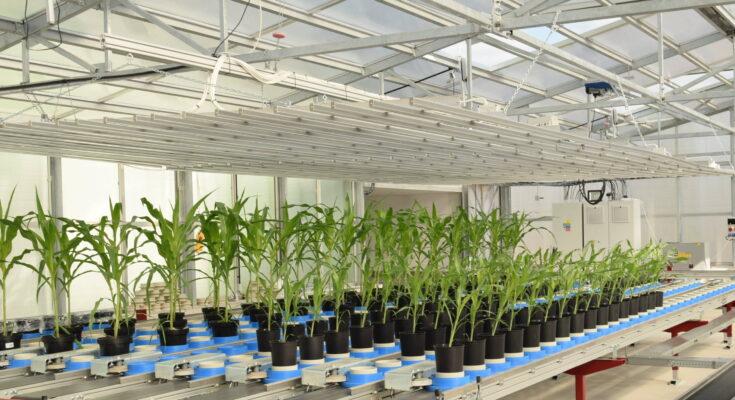 Plant Phenotyping Market Analysis, Share, Trends, Demand, Size, Opportunity & Forecast