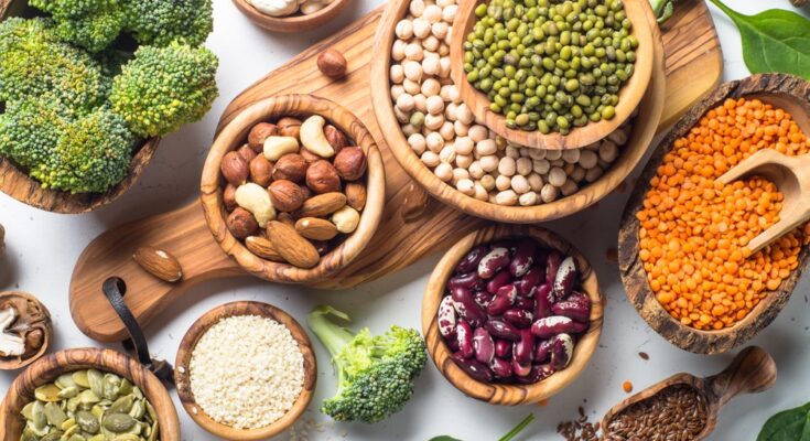 Pulse Protein Market