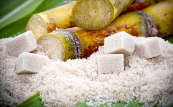 Raw Cane Sugar Market