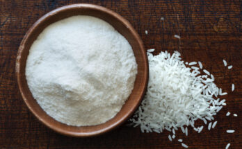 Rice Starch Market