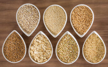 Saudi Arabia Grain Analysis Market : Opportunities, Size and Growth Projections in Upcoming Years