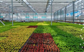 Smart Greenhouse Market - Analysis, Share, Trends, Demand, Size, Opportunity & Forecast