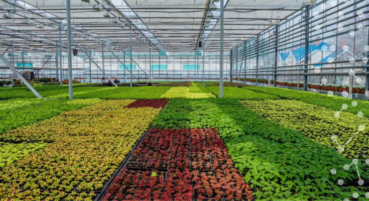 Smart Greenhouse Market - Analysis, Share, Trends, Demand, Size, Opportunity & Forecast