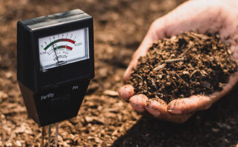 Soil Testing Equipment Market : Opportunities, Size and Growth Projections in Upcoming Years