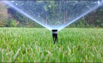 Sprinkler Irrigation System Market : Trends, Competition, and Industry Size Forecasts