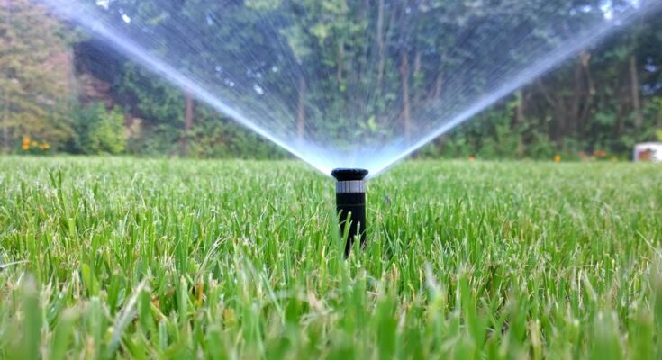 Sprinkler Irrigation System Market : Trends, Competition, and Industry Size Forecasts