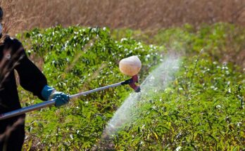 UAE Pesticide Market Projections Show Impressive CAGR for 2017-2027