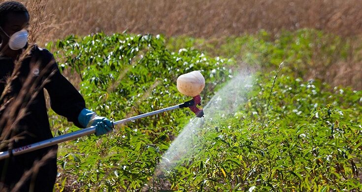 UAE Pesticide Market Projections Show Impressive CAGR for 2017-2027