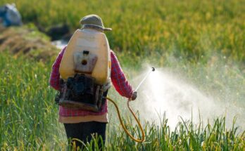 UAE Pesticides Market Analysis, Share, Trends, Demand, Size, Opportunity & Forecast