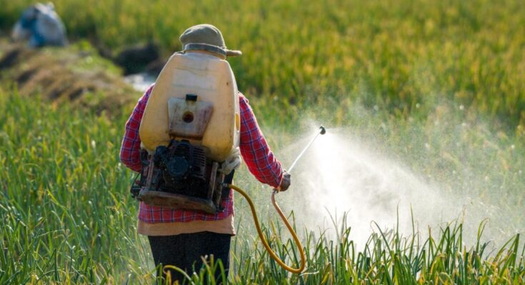 UAE Pesticides Market Analysis, Share, Trends, Demand, Size, Opportunity & Forecast