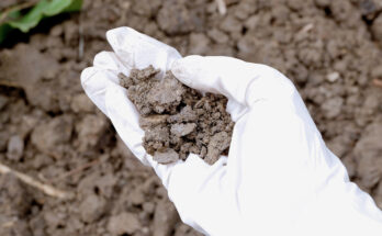 United Kingdom Soil Treatment Market : Analysis of Industry Size, Share, and Competition