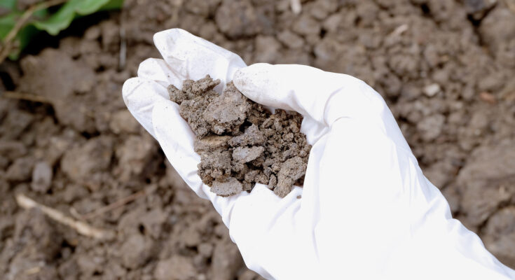 United Kingdom Soil Treatment Market : Analysis of Industry Size, Share, and Competition