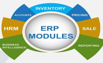 Vietnam Enterprise Resource Planning (ERP) Market