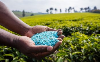 Vietnam Fertilizers Market : Analysis of Industry Size, Share, and Competition