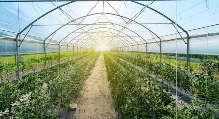 Vietnam Greenhouse Market 2017-2027: Future, Growth & Opportunities | TechSci Research