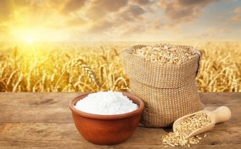 Wheat Starch Market